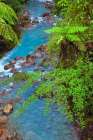 Small stream or creek-Costa Rica Art Print